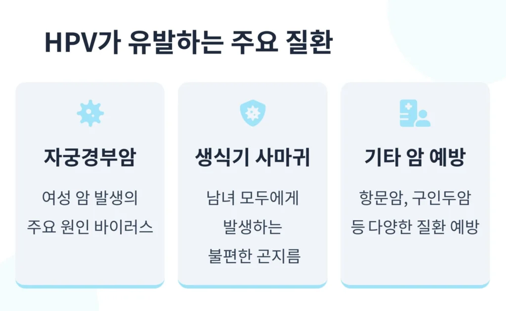 HPV(인유두종바이러스)가 유발하는 주요 질환 안내. 자궁경부암(여성 암 발생 주요 원인), 생식기 사마귀(남녀 모두에게 발생하는 곤지름), 항문암 및 구인두암 등 기타 암 예방의 중요성 설명.