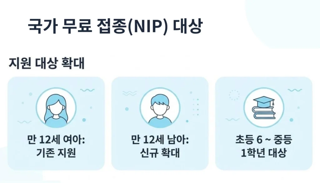 국가 무료 접종(NIP) 지원 대상 확대 상세 내용. 기존 지원 대상인 만 12세 여아와 신규 확대된 만 12세 남아(초등 6학년~중등 1학년 대상)에 대한 인포그래픽.