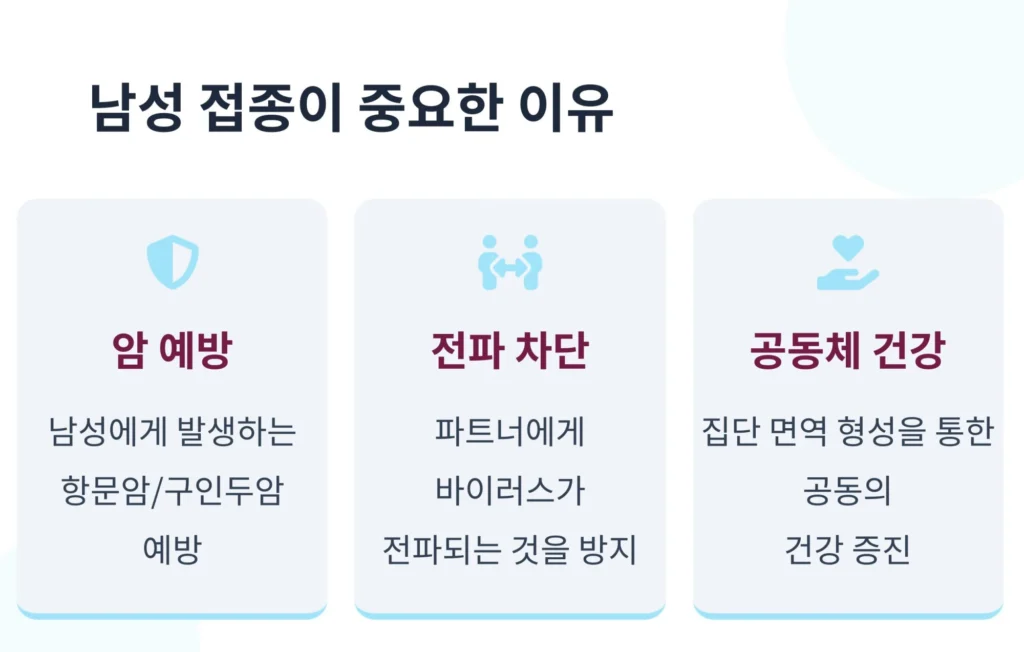 남성 가다실 9가 접종의 중요성 3가지. 남성에게 발생하는 암 예방, 파트너에게 바이러스 전파 차단, 집단 면역 형성을 통한 공동체 건강 증진 설명.