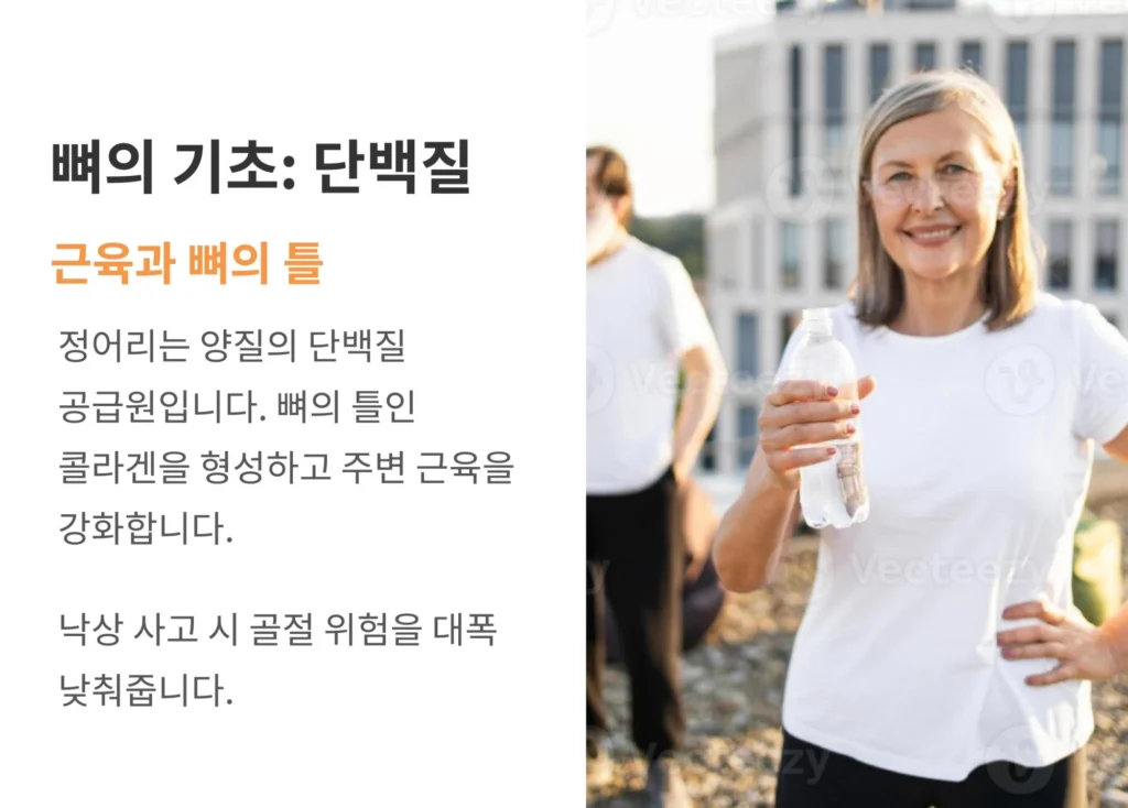 물병을 들고 웃고 있는 건강한 여성의 모습. 정어리가 양질의 단백질 공급원으로서 콜라겐을 형성하고 근육을 강화해 골절 위험을 낮춰준다는 설명.
