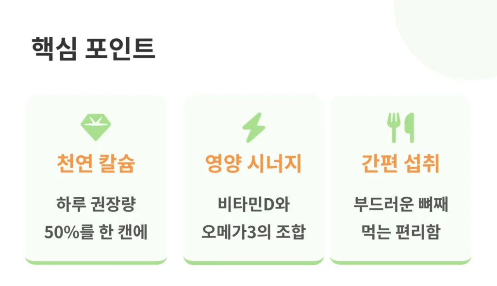 정어리캔의 세 가지 핵심 포인트를 설명하는 인포그래픽. 천연 칼슘(하루 권장량 50%), 영양 시너지(비타민D와 오메가3), 간편 섭취(부드러운 뼈째 먹는 편리함) 내용 포함.