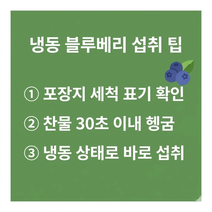 냉동 블루베리 세척 방법 핵심 요약 3가지 체크리스트 