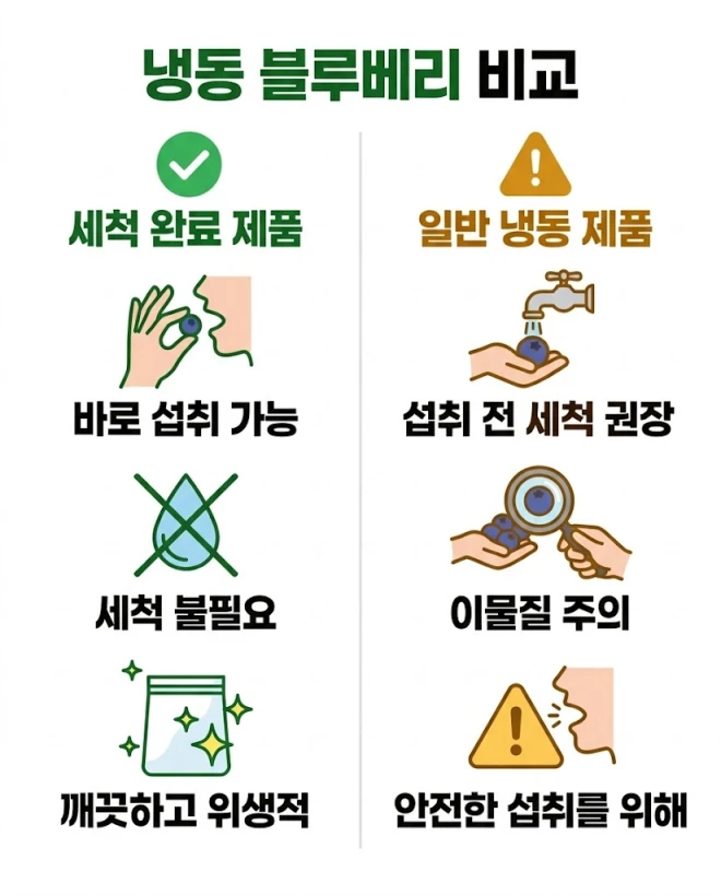 냉동 블루베리 세척 여부 제품 종류 비교 인포그래픽 
