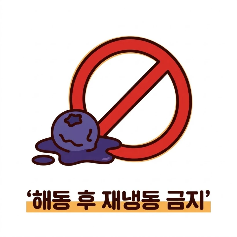 냉동 블루베리 해동 후 재냉동 금지 식품 안전 