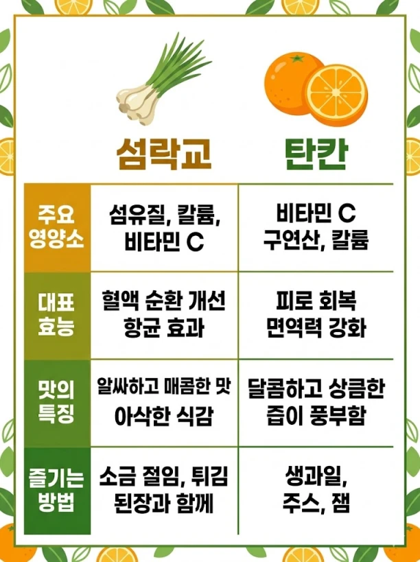 섬락교와 탄칸 영양 성분 및 효능 비교 인포그래픽 