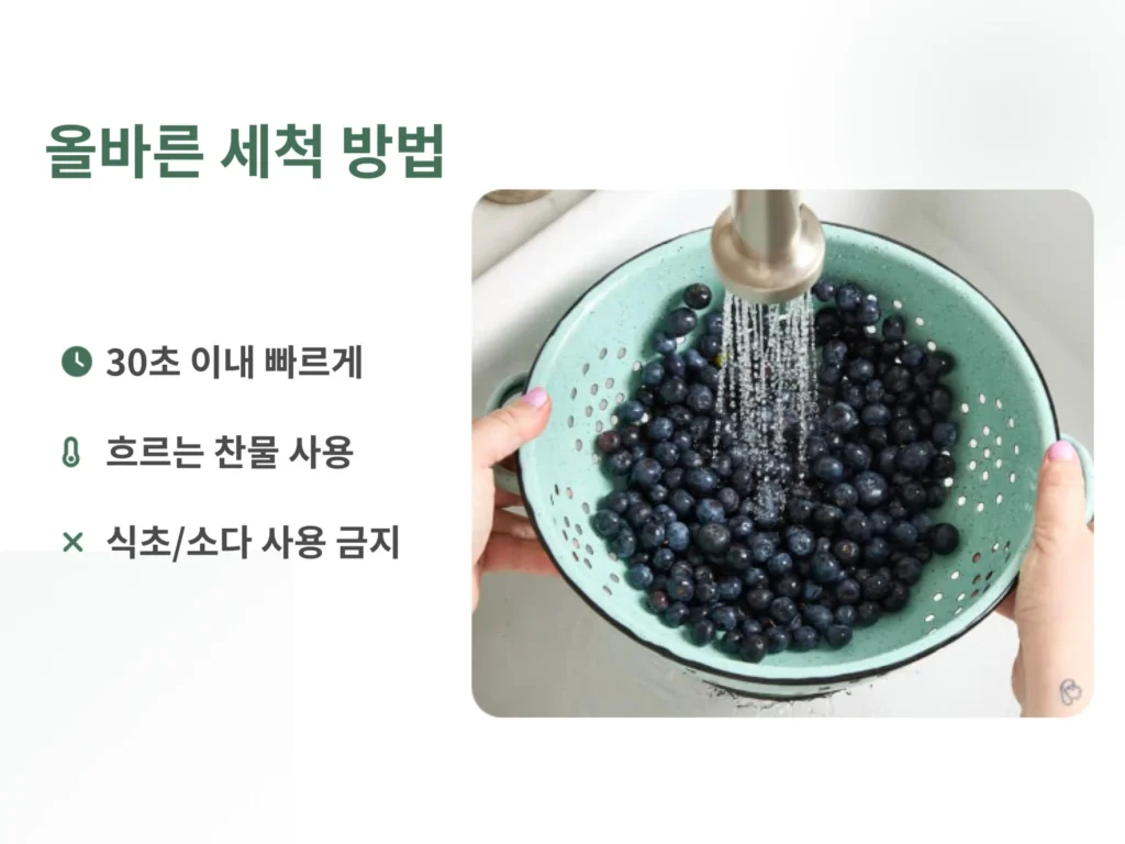 냉동 블루베리를 체반에 받쳐 흐르는 찬물에 30초 이내로 빠르게 헹구는 올바른 세척 가이드를 보여주는 이미지입니다. 식초나 베이킹소다 사용을 금지하고 찬물을 사용해야 한다는 수칙이 포함되어 있습니다.