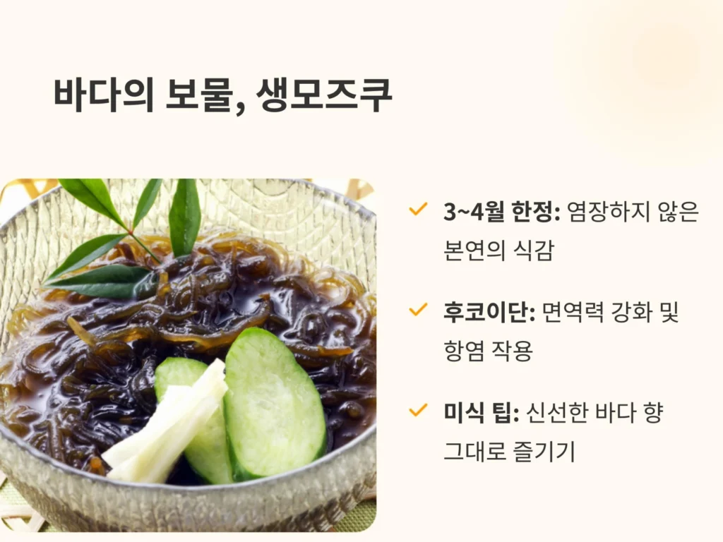 3~4월 한정 제철 식재료인 바다의 보물 생모즈쿠 요리. 후코이단 성분의 면역력 강화 효능과 신선한 바다 향을 즐기는 미식 팁 안내