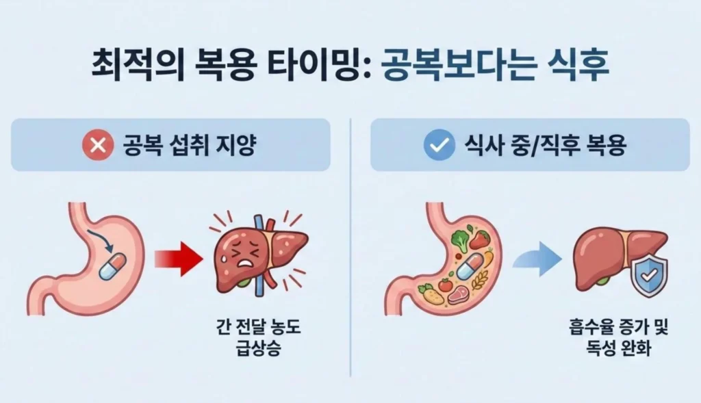 공복 섭취 지양 및 식사 중 혹은 직후 복용을 권장하는 최적의 영양제 복용 타이밍 비교 일러스트