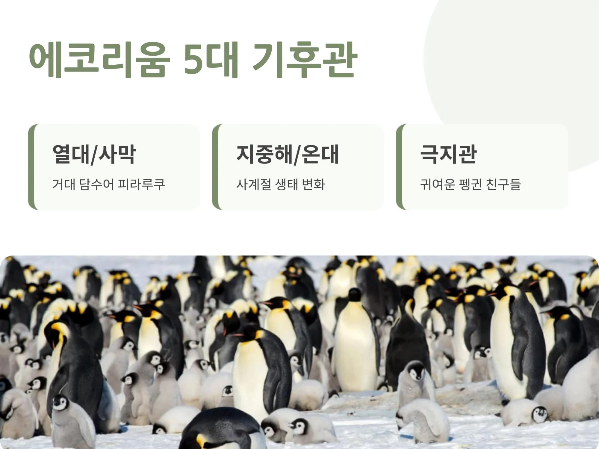 열대, 사막, 지중해, 온대, 극지관 등 피라루쿠와 펭귄을 만날 수 있는 국립생태원 에코리움의 5대 기후관별 특징 안내