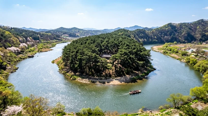 단종의 유배지였던 강원도 영월 청령포의 화사한 봄 풍경