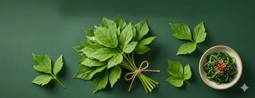 신선초 효능과 부작용, 특유의 쓴맛 싹 없애는 나물 무침 황금 레시피