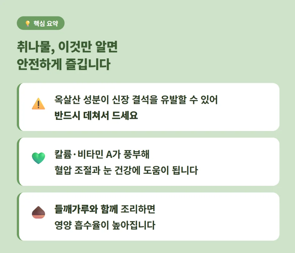 취나물 안전하게 먹는 법 핵심 요약 인포그래픽