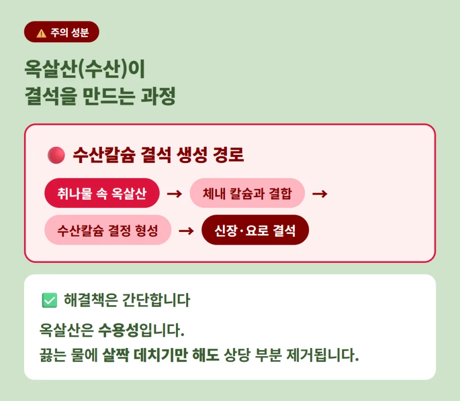 취나물 속 옥살산 성분이 결석을 만드는 경로와 데치기 해결법