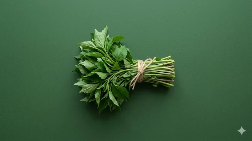 취나물 효능만 보고 드시나요? 신장 결석을 부르는 잘못된 조리법 주의사항