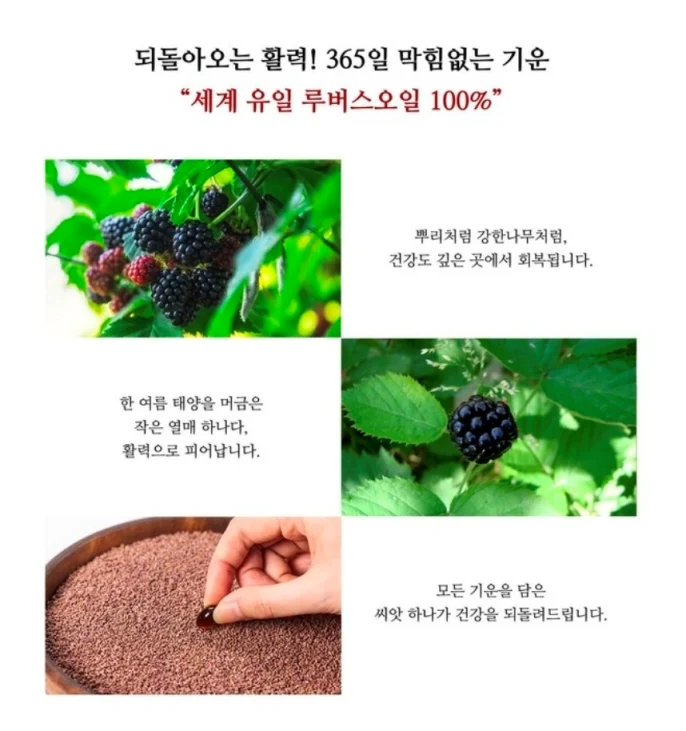 루버스오일의 원료인 복분자 씨앗의 효능과 건강 정보