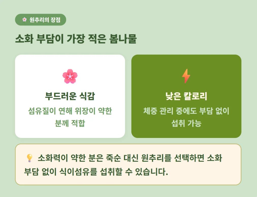 소화 부담이 적고 칼로리가 낮은 원추리나물의 장점 정리