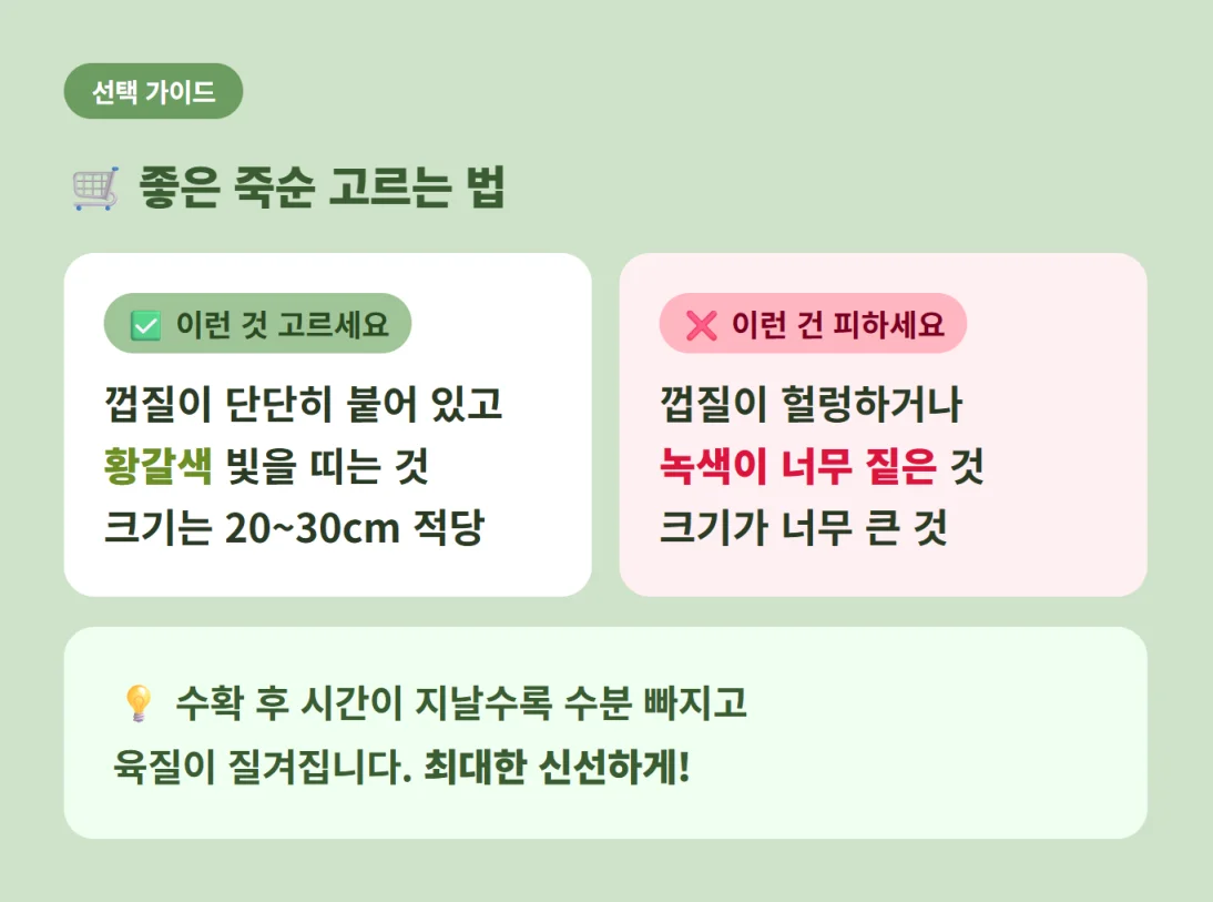 신선하고 좋은 죽순 고르는 법과 피해야 할 죽순 특징 가이드