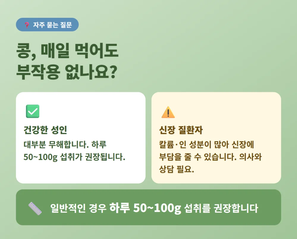 콩 매일 섭취 시 주의사항 및 신장 질환자를 위한 가이드와 일반 성인 하루 적정 섭취량 안내
