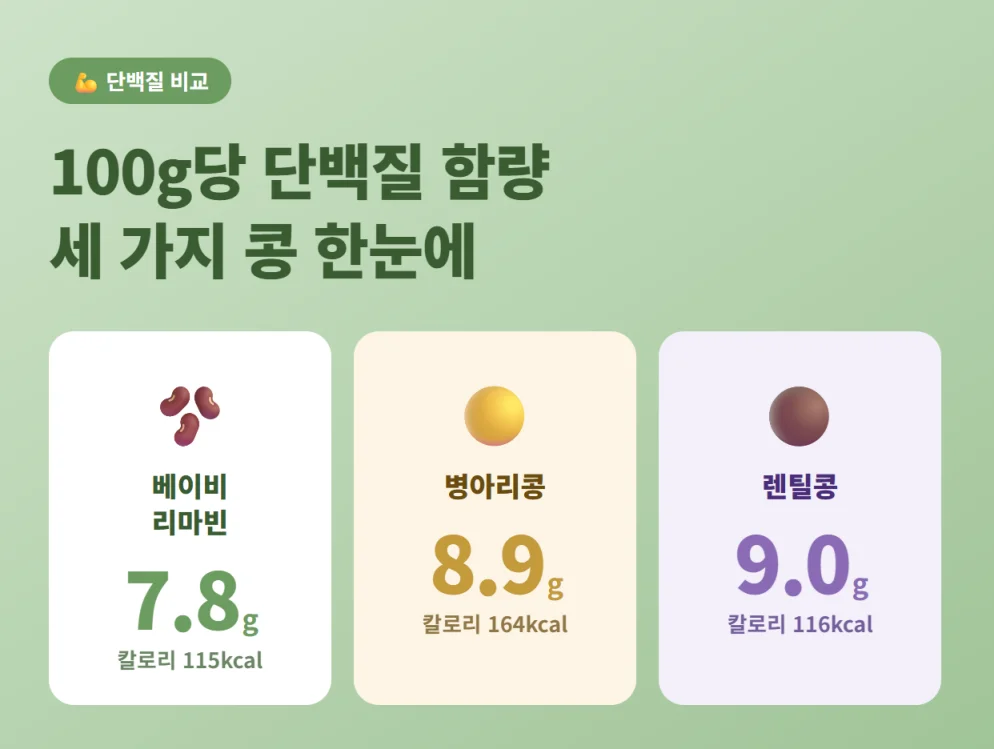 베이비 리마빈, 병아리콩, 렌틸콩의 100g당 단백질 함량 비교 인포그래픽