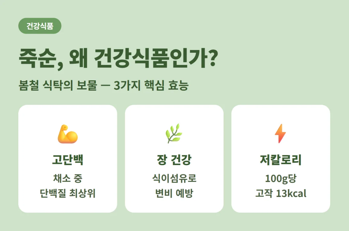 죽순의 3가지 핵심 효능인 고단백, 장 건강, 저칼로리 요약 정보