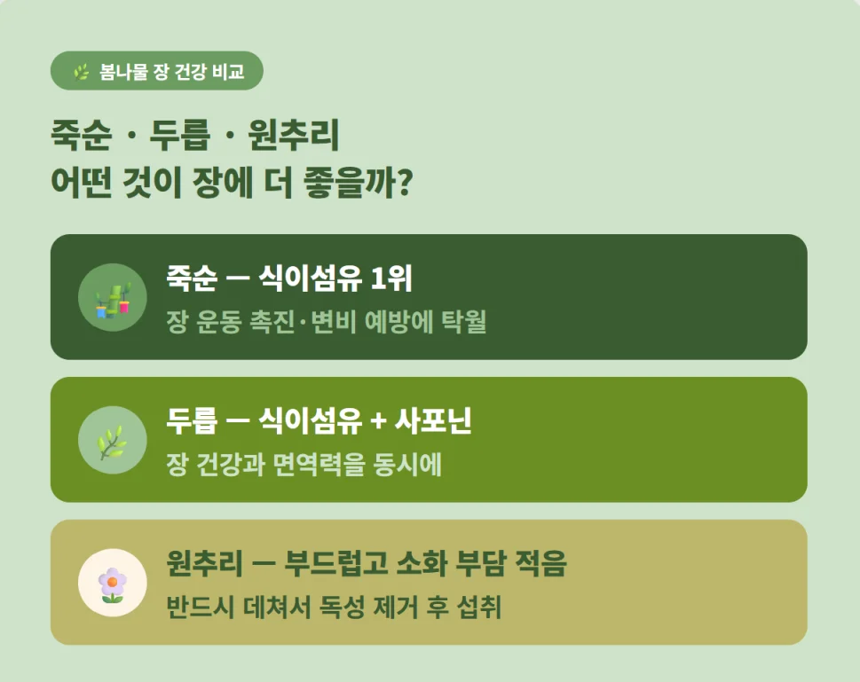 죽순, 두릅, 원추리의 장 건강 효능 비교 정보 요약 가이드
