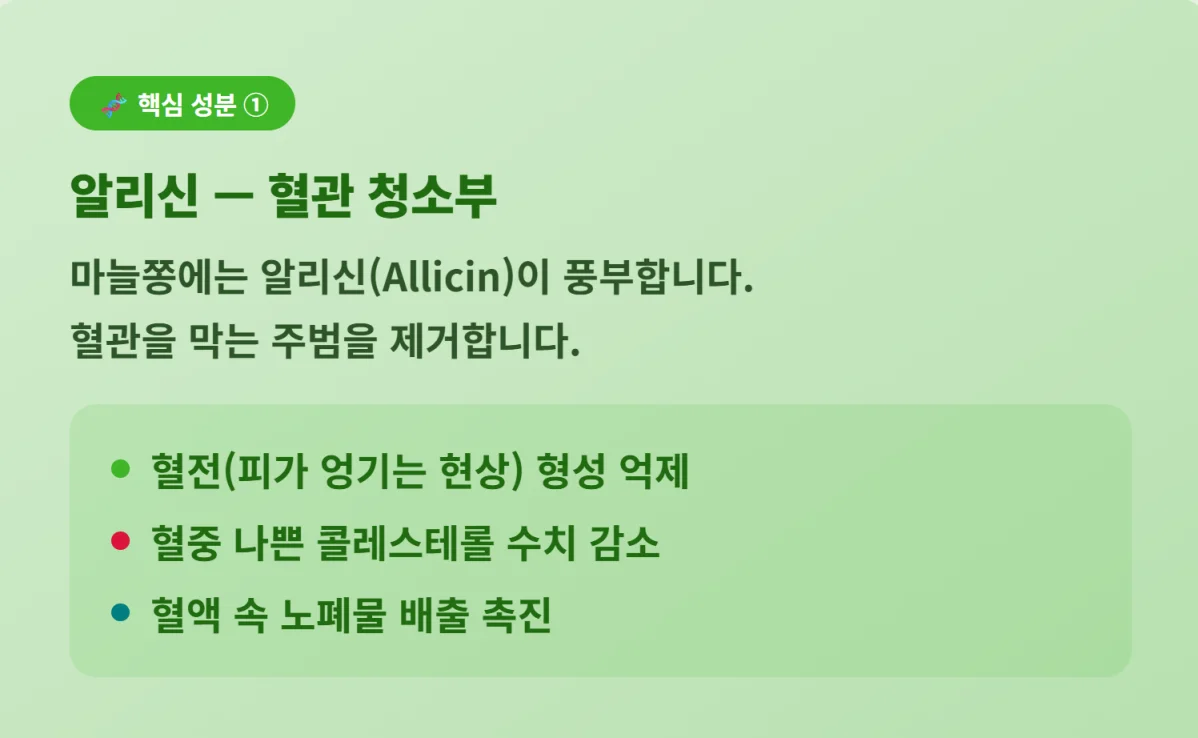 "혈전 형성 억제와 콜레스테롤 감소에 도움을 주는 마늘종의 알리신 성분 효과 설명"