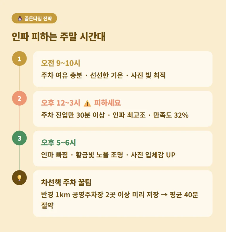 혼잡한 시간을 피해 장미원을 여유롭게 즐길 수 있는 골든타임 시간대 전략