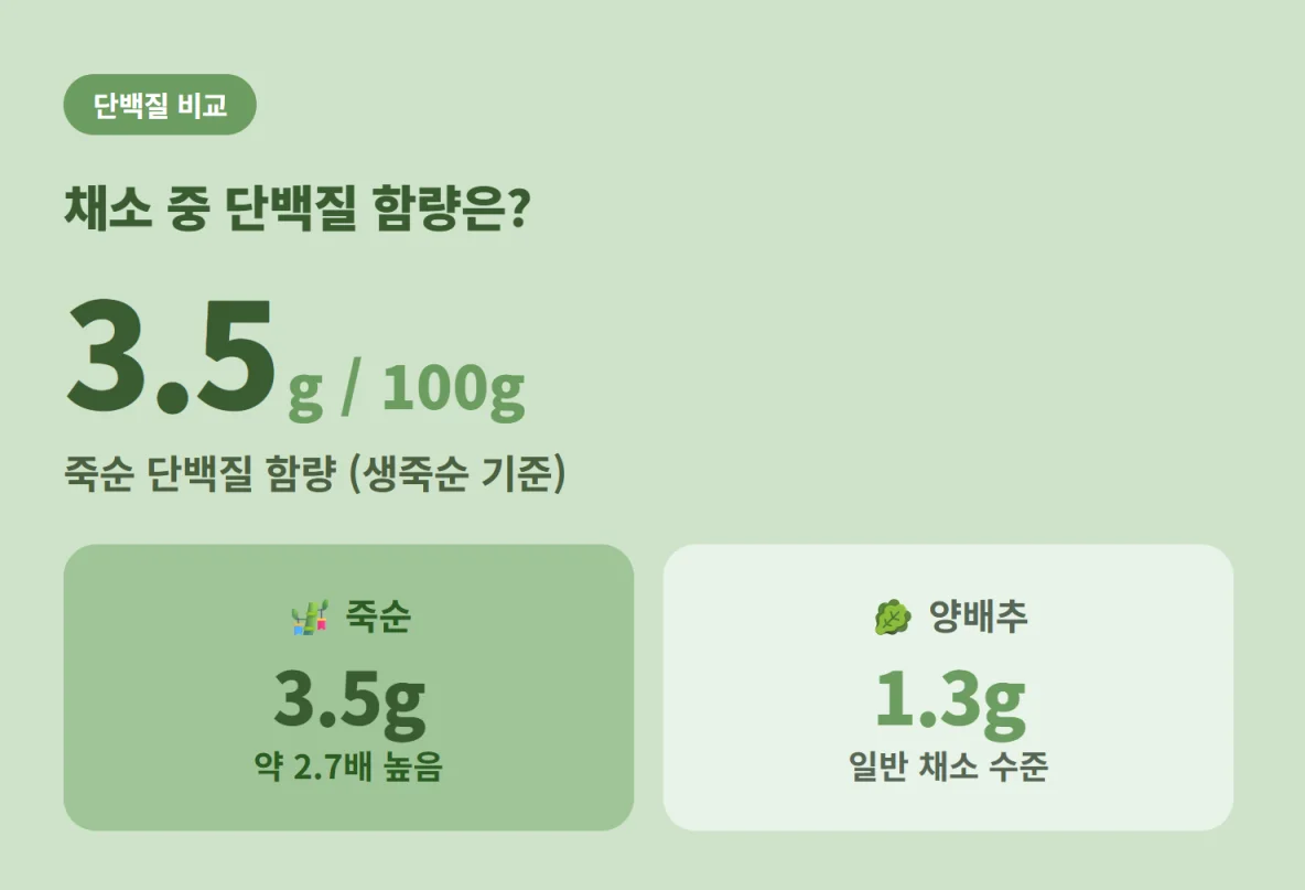 생죽순과 양배추의 단백질 함량 비교 그래프