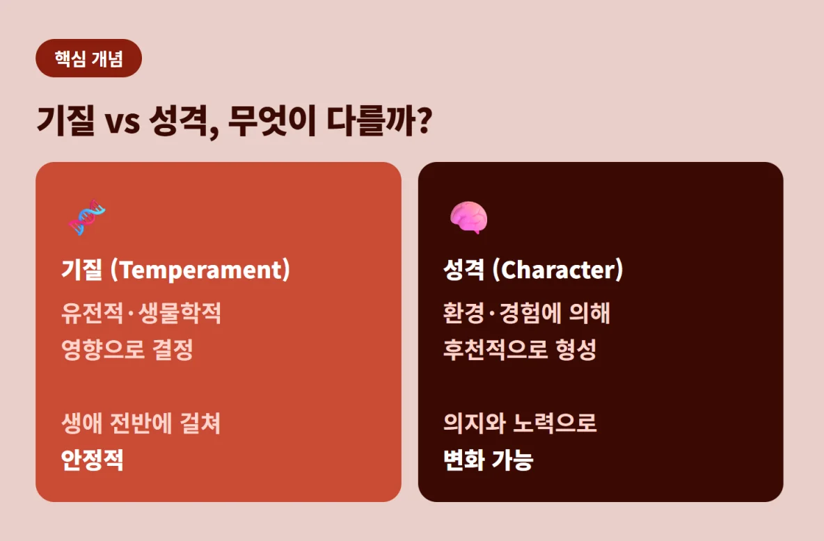 유전적 기질과 후천적 성격의 차이점을 비교한 TCI 검사 핵심 개념도
