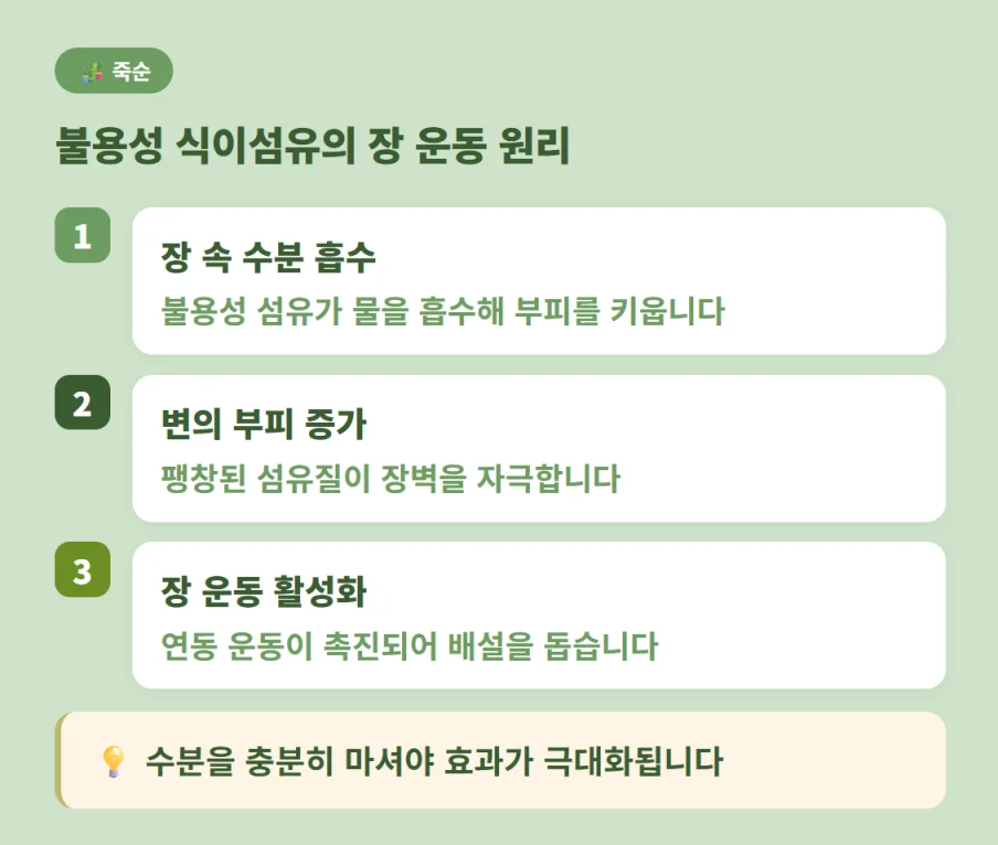 불용성 식이섬유의 장 운동 및 배변 촉진 원리 3단계 설명
