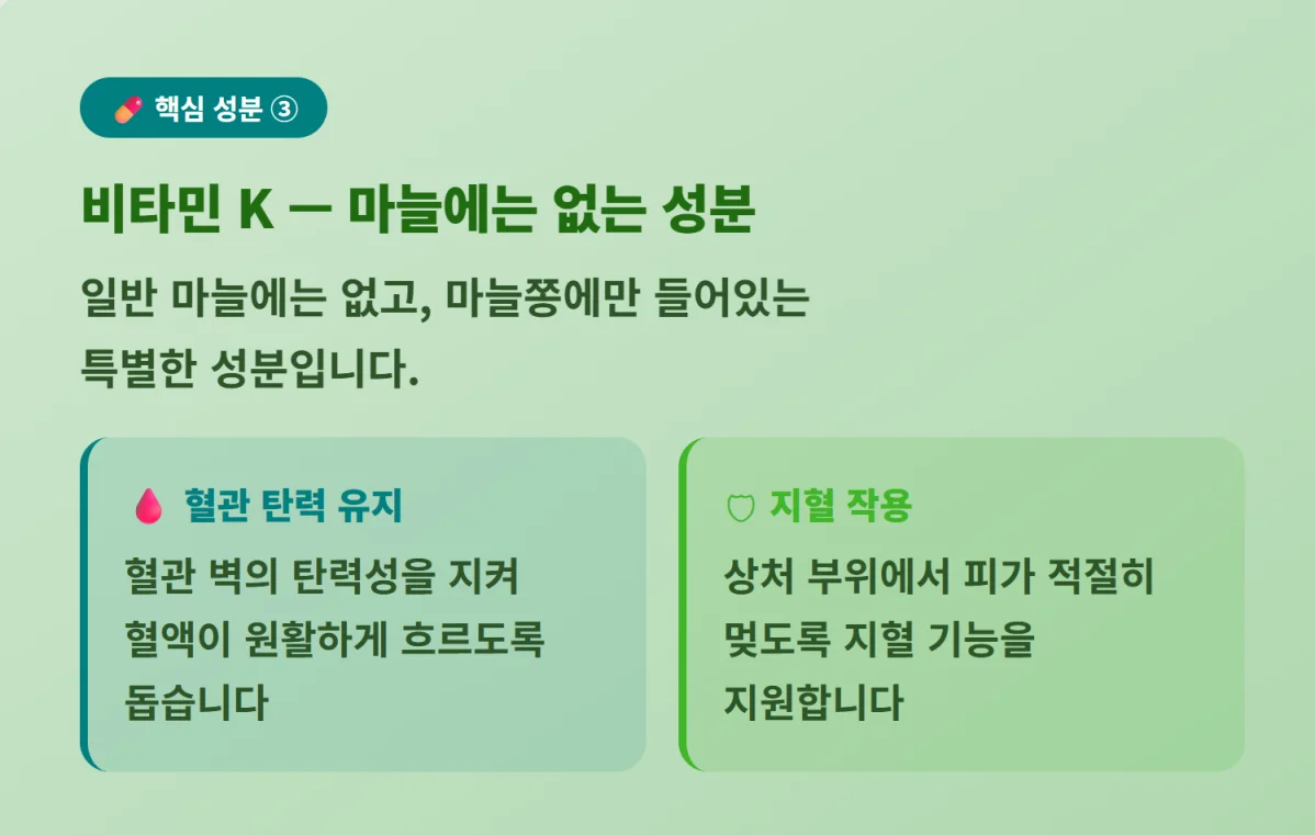 "혈관 탄력 유지와 지혈 작용을 돕는 마늘종 속 특별한 성분인 비타민 K 효능 안내"