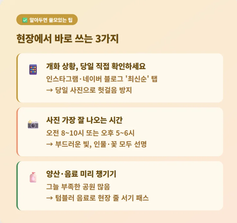 장미원 현장에서 바로 활용할 수 있는 방문 팁과 유용한 준비물 안내