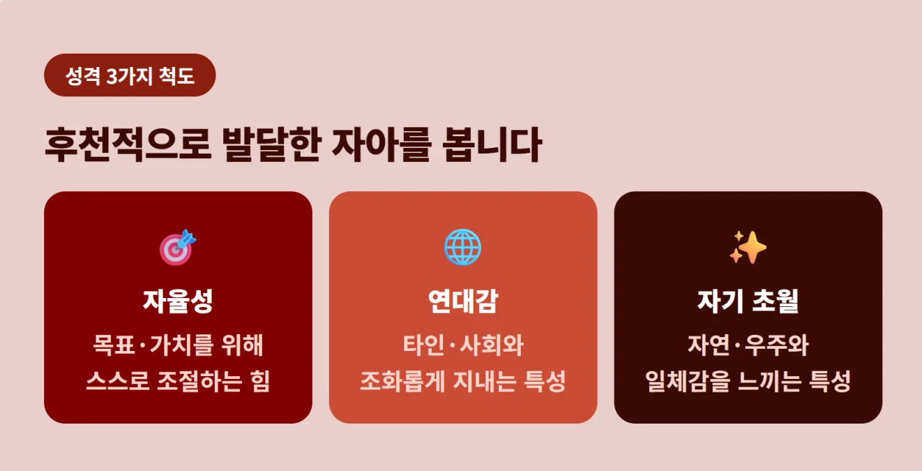 자율성, 연대감, 자기초월로 구성된 TCI 성격 3개 척도 상세 설명