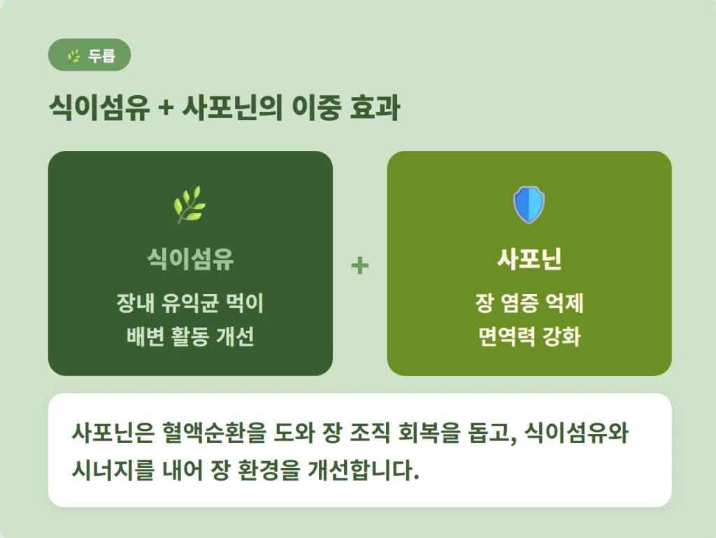 두릅 속 식이섬유와 사포닌 성분이 장 건강과 면역력에 주는 이중 효과 설명