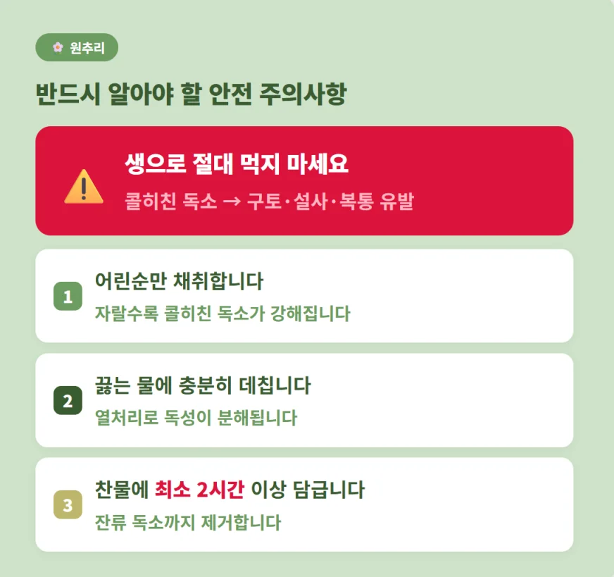 원추리나물 섭취 시 독성 제거를 위한 반드시 알아야 할 안전 주의사항