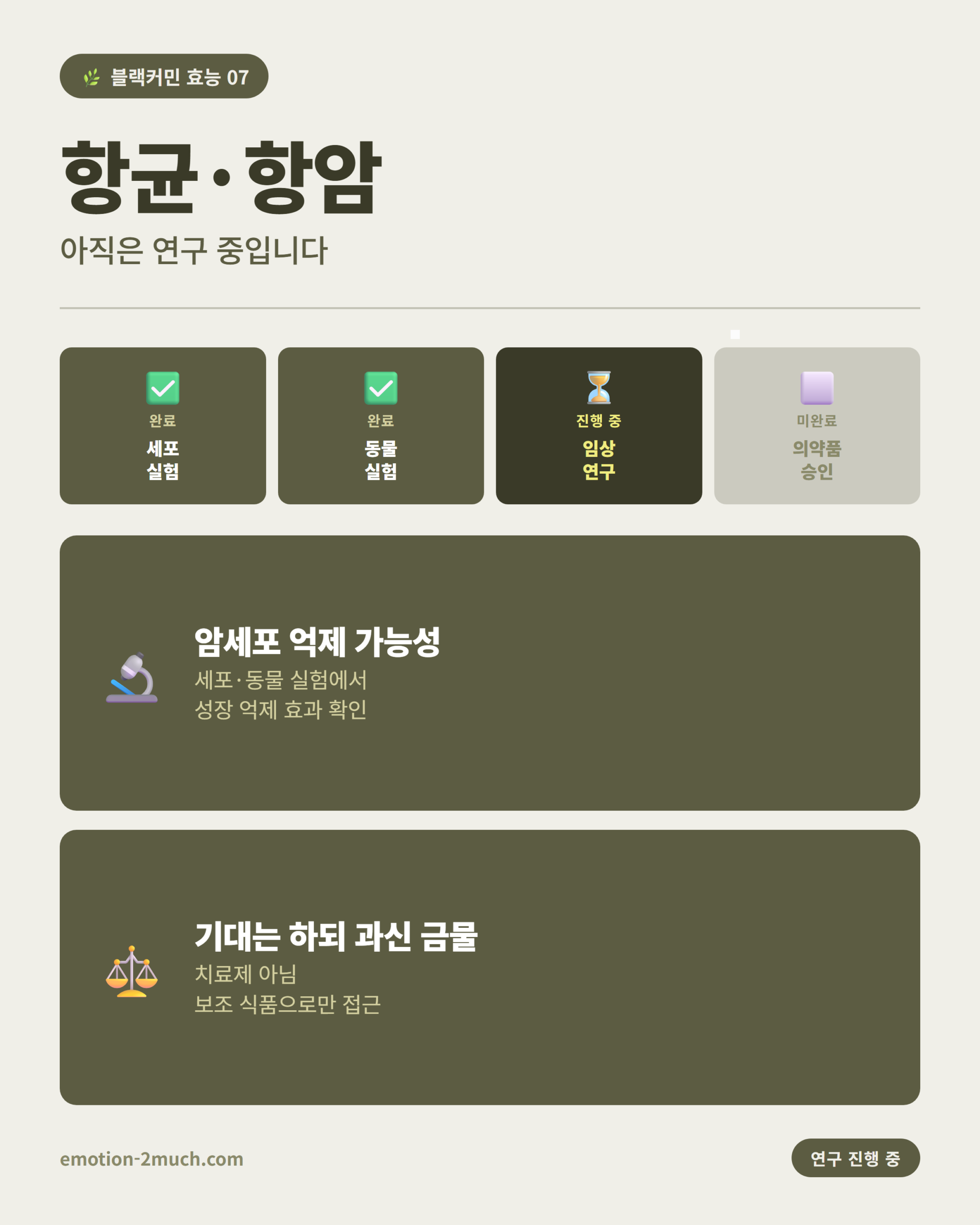블랙커민 항균 항암 연구 단계 인포그래픽