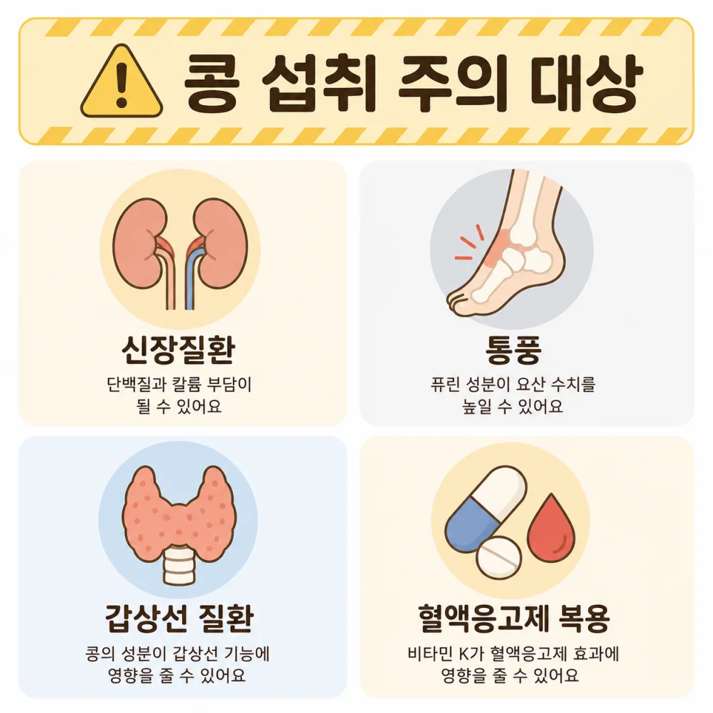 콩 섭취 시 주의가 필요한 대상 안내 인포그래픽