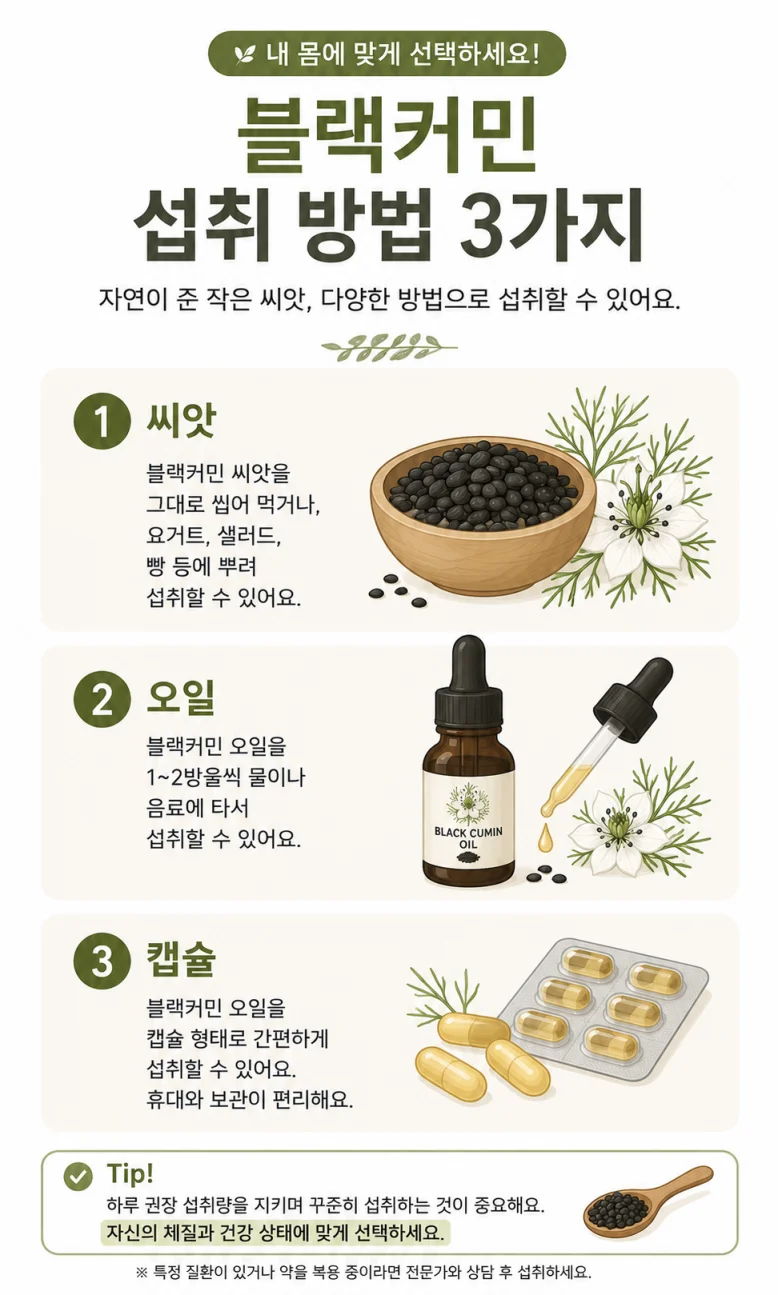 블랙커민 씨앗 오일 캡슐 섭취 방법 일러스트