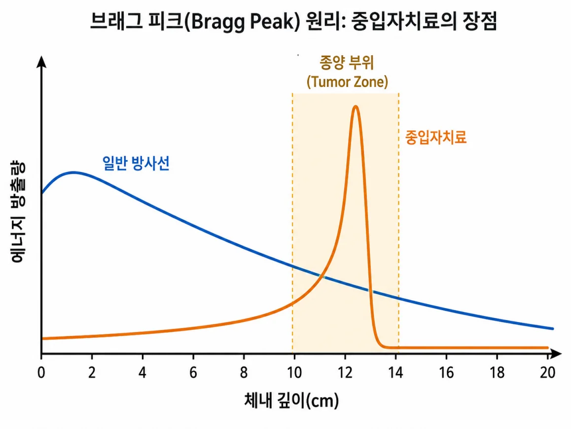 브래그 피크 원리 중입자치료 에너지 집중 다이어그램 일반 방사선 비교