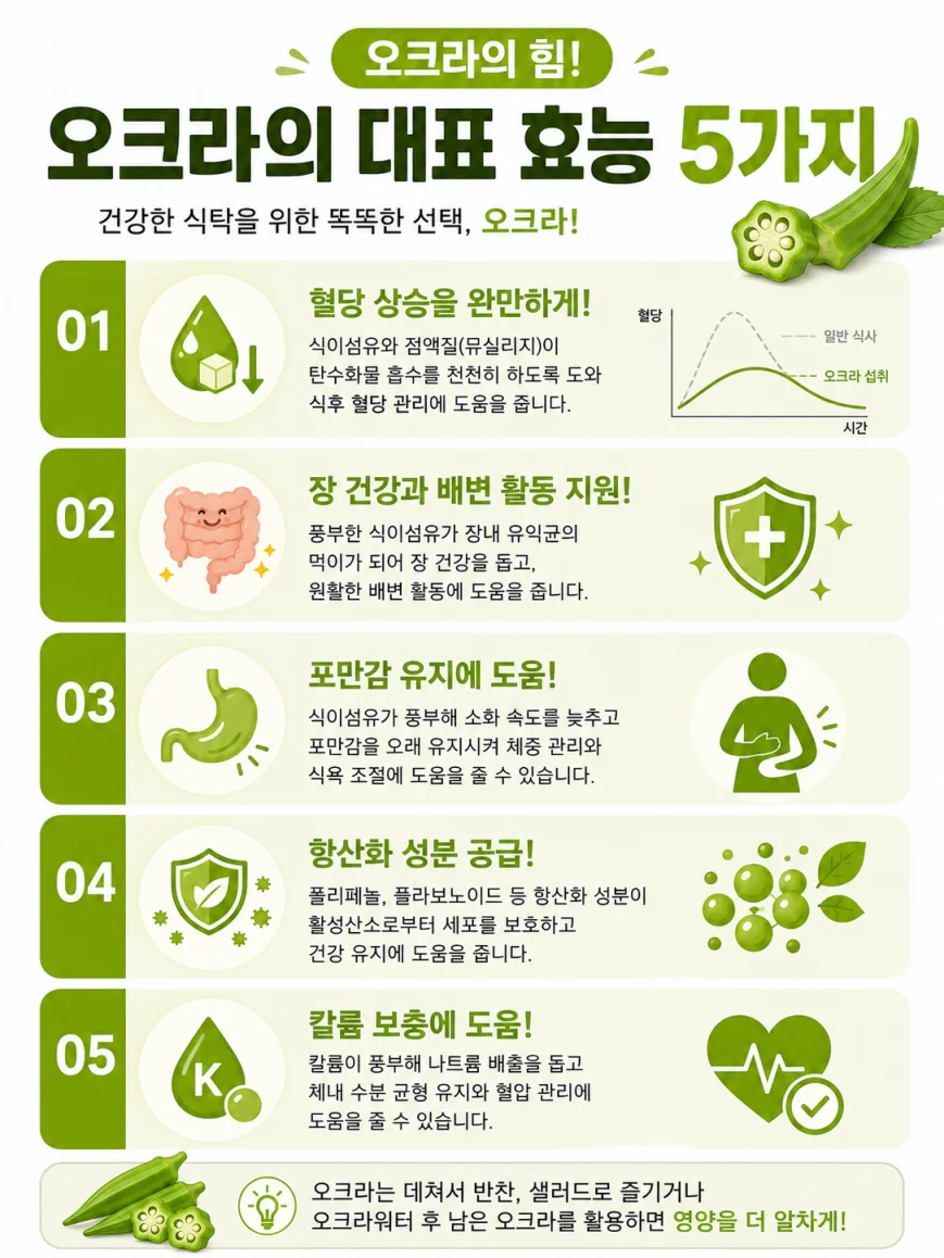 오크라 효능 5가지 혈당 장건강 포만감 항산화 칼륨 한글 인포그래픽