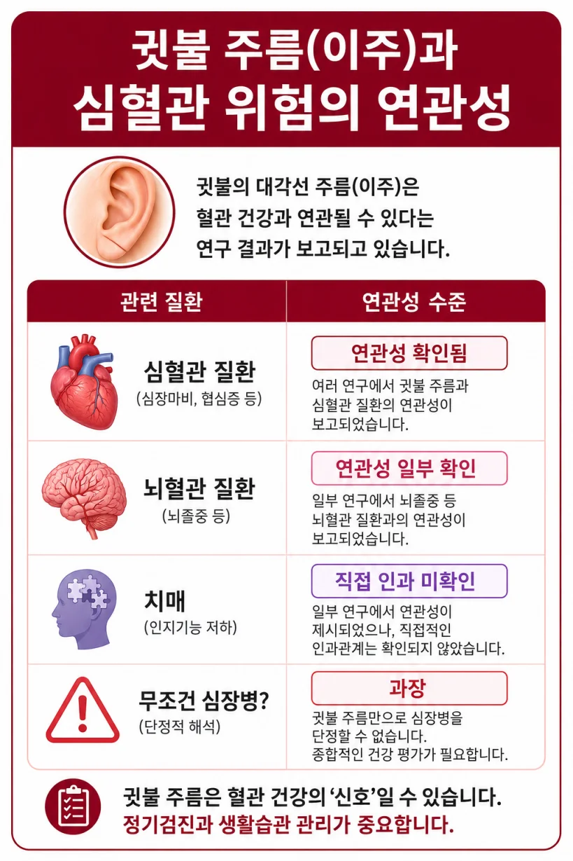 귓불 주름 심혈관 연관성 동맥경화 혈관 노화 설명 인포그래픽