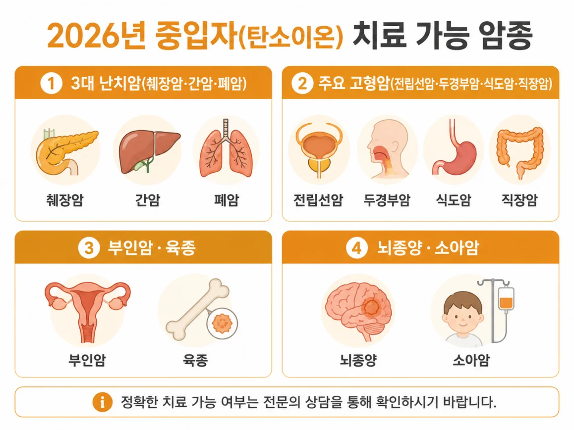 중입자치료 대상 암 종류 2026 인포그래픽 국내 기준 요약