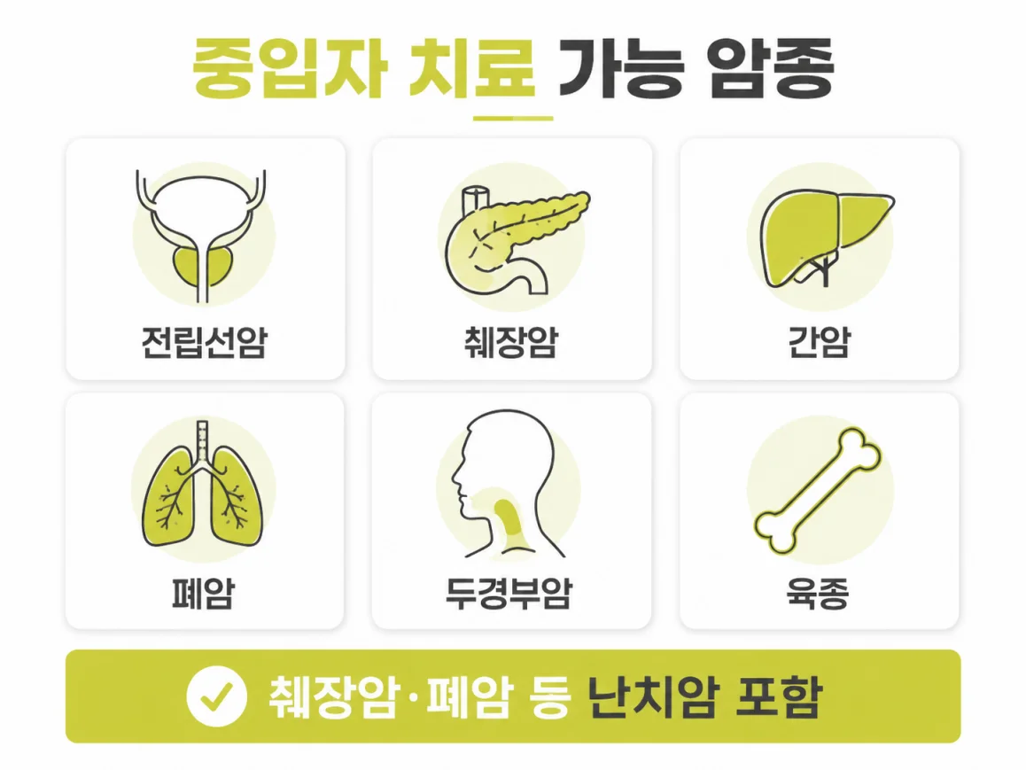 연세암병원 중입자 치료 가능 암종 종류 인포그래픽 2026년