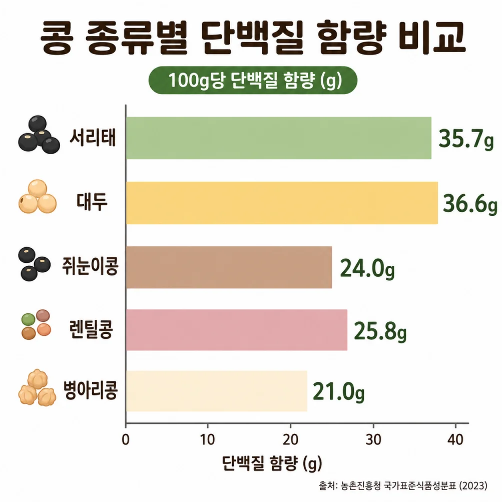 콩 종류별 단백질 함량 비교 막대그래프