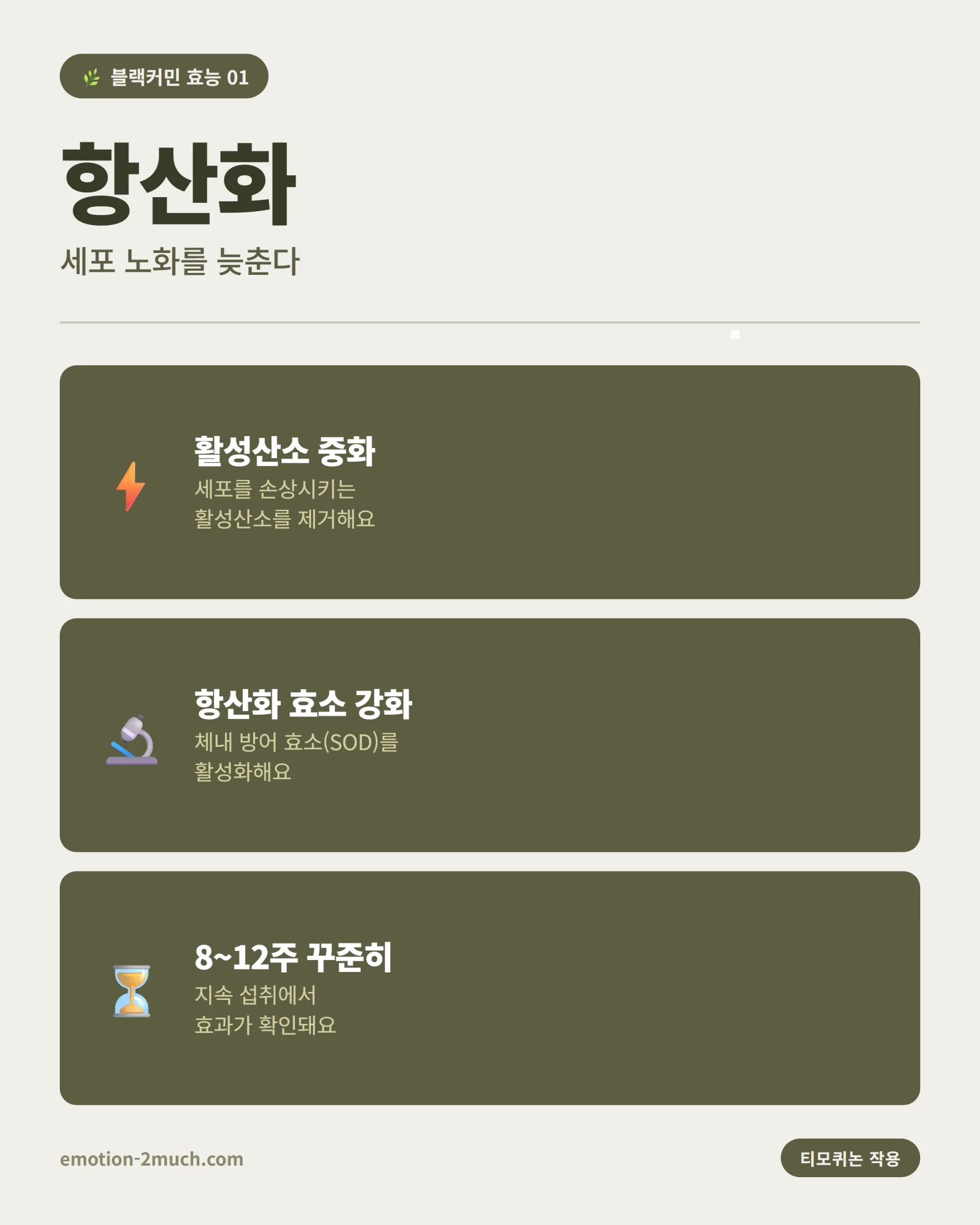 블랙커민 항산화 효능 인포그래픽