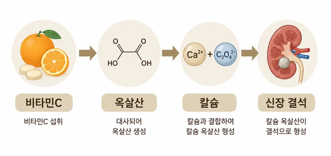 고용량 비타민C가 옥살산을 거쳐 신장 결석을 유발하는 과정 다이어그램