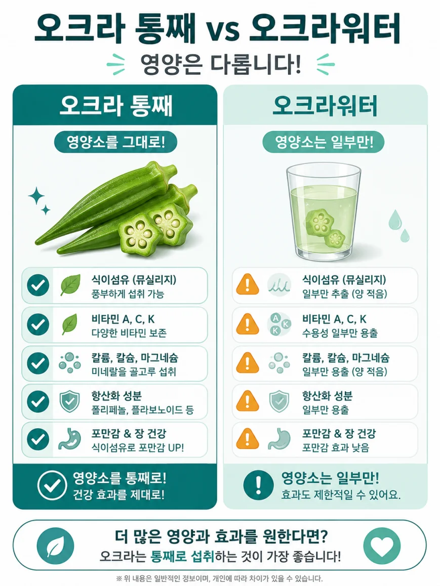 오크라 영양 성분 비교 통째 섭취 vs 오크라워터 한글 인포그래픽 