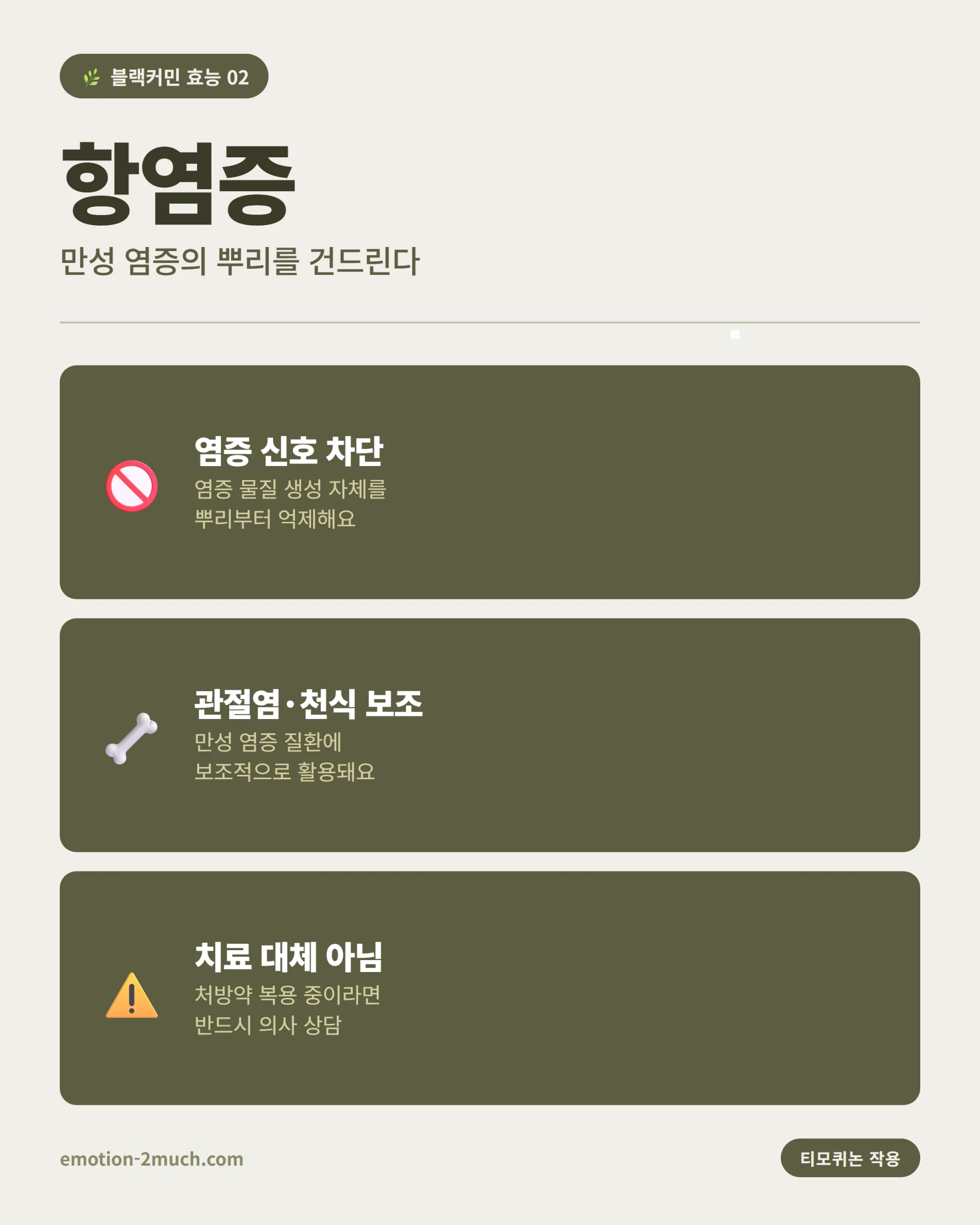 블랙커민 항염증 효능 인포그래픽