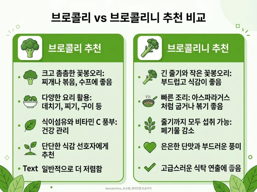 브로콜리니 브로콜리 상황별 선택 가이드 비교표