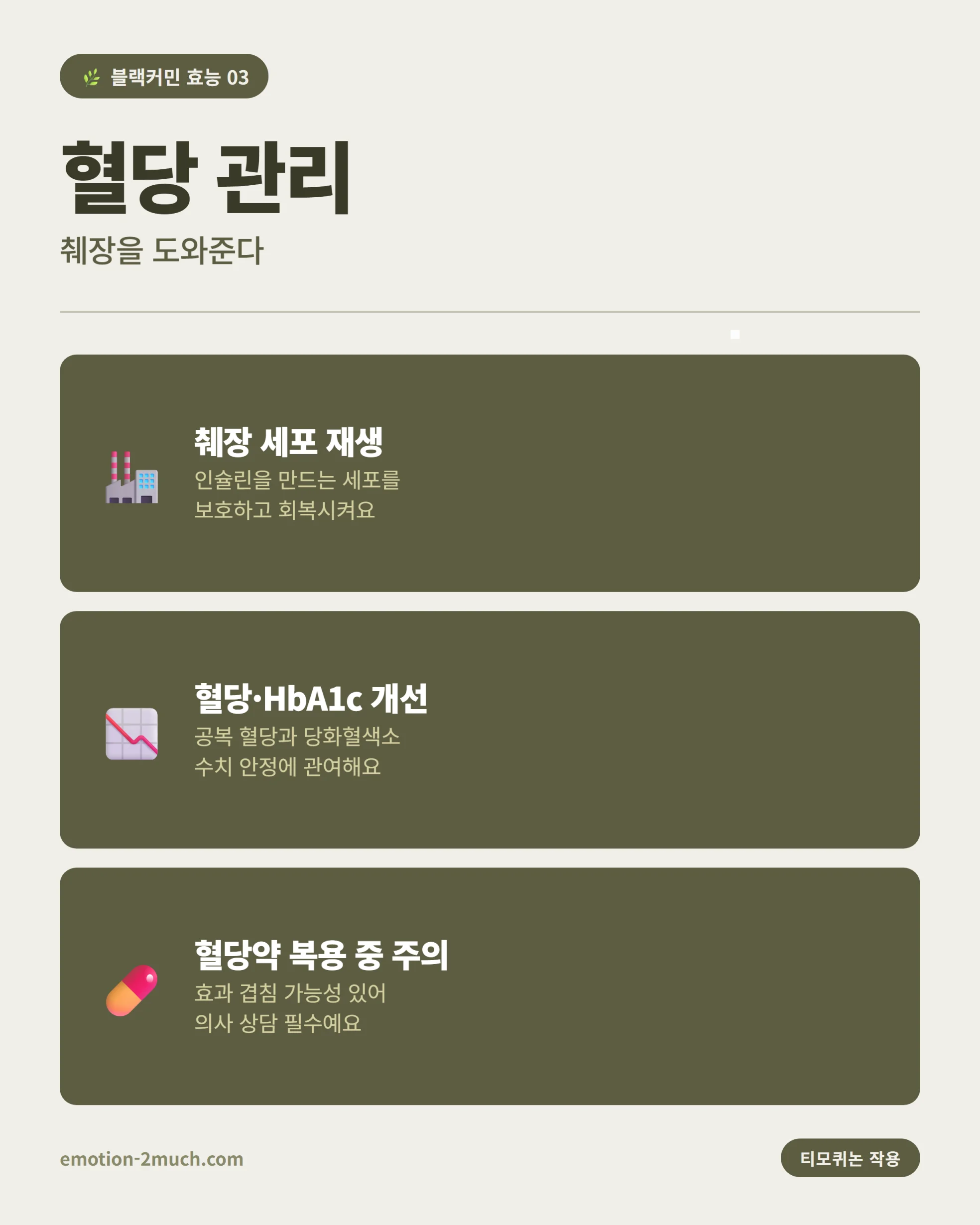 블랙커민 혈당 관리 효능 인포그래픽